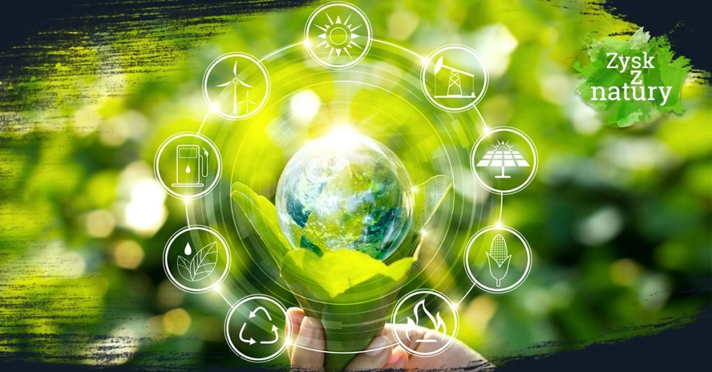 Audit environnemental